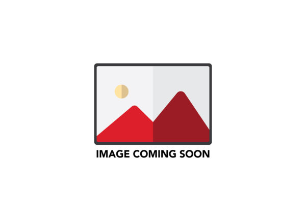 Modulierender Druckregler Satz - Propan, 230V, GA, 60kg